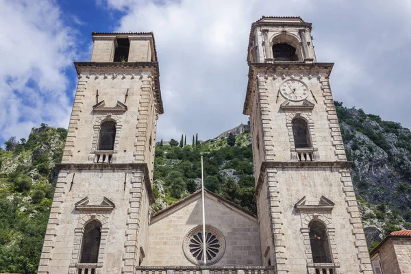 Catedral de Kotor — Foto de Stock