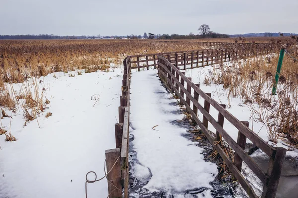 Fonott csatorna Narew-folyó — Stock Fotó