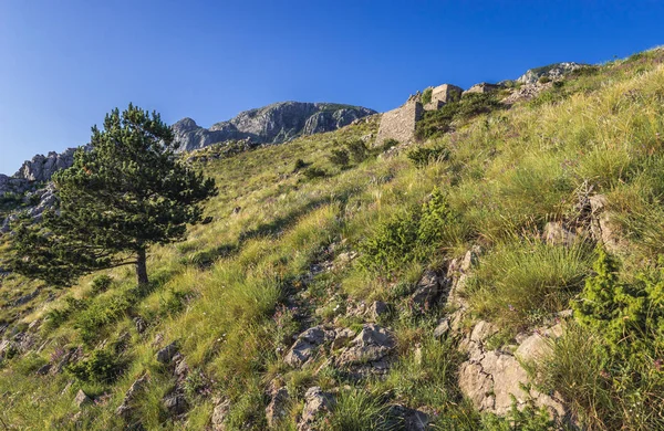 Montagna sopra la baia di Kotor — Foto Stock