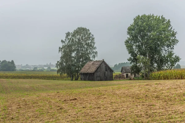 Campo en Polonia — Foto de Stock