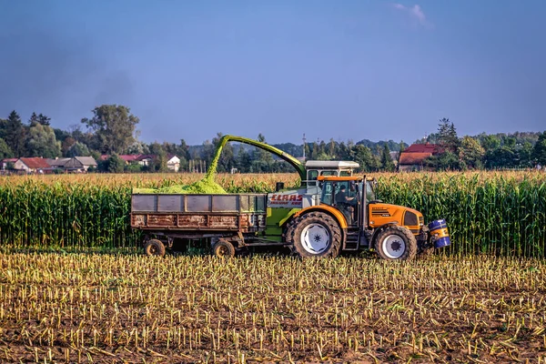 Harvesting in Poland — Stock Photo, Image