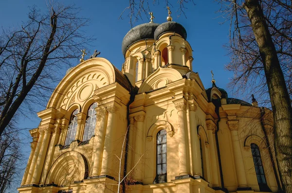 Православный собор Варшавы — стоковое фото