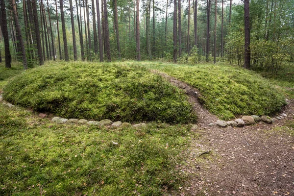 Tombes anciennes dans la forêt — Photo