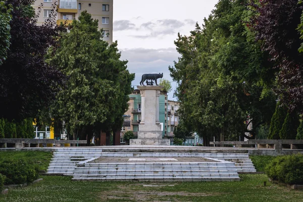 Lobo Capitolino en Satu Mare — Foto de Stock