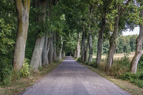 Polonya 'da kırsal yol — Stok fotoğraf