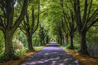 Road in Poland clipart