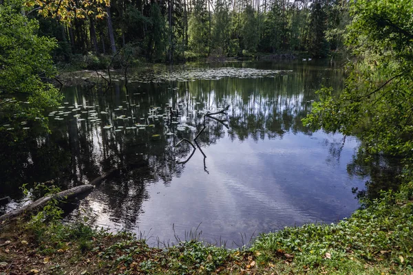 Small forest lake in Poland — Stock Photo, Image