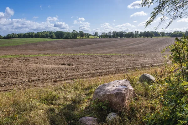 Campos en Polonia — Foto de Stock