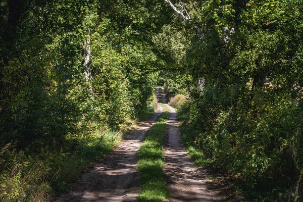 Route rurale en Pologne — Photo