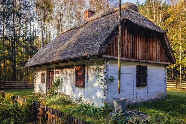 ポーランドの Kampinos 森林博物館 — ストック写真