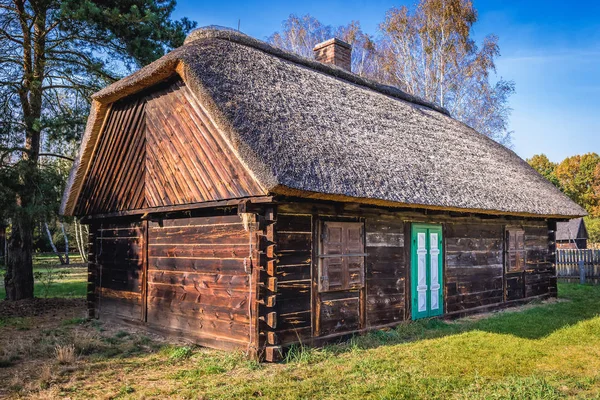 Музей леса Кампинос в Польше — стоковое фото