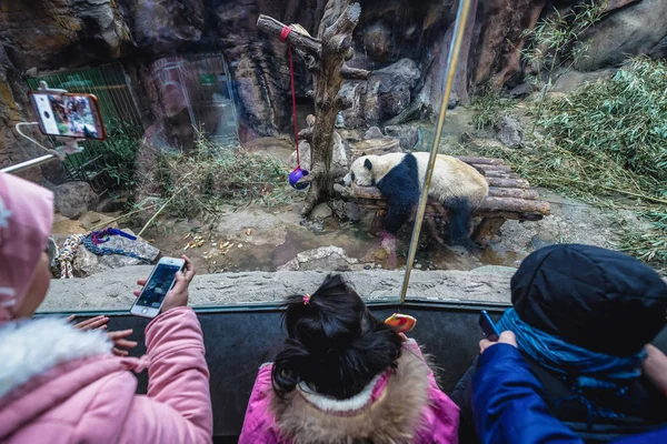 Pekingi állatkert — Stock Fotó