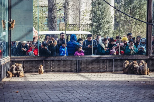 北京动物园 — 图库照片