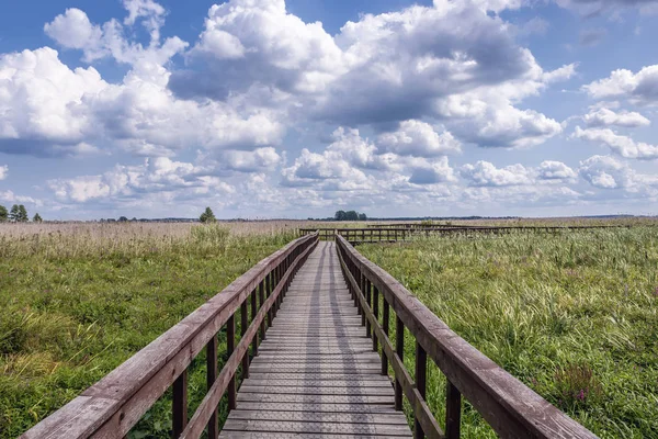 Parc national de Narew en Pologne — Photo