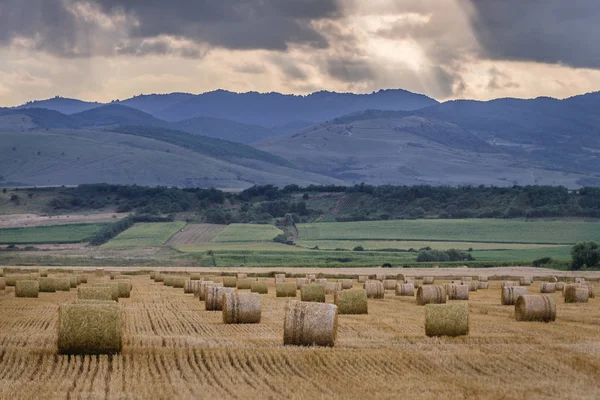 ルーマニアのトランシルヴァニア地方の農村部に大きなわらの俵がたくさんある頑丈なフィールドで見る — ストック写真