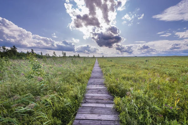 Passerelle Touristique Bois Appelée Dluga Luka Sur Marais Lawki Dans — Photo