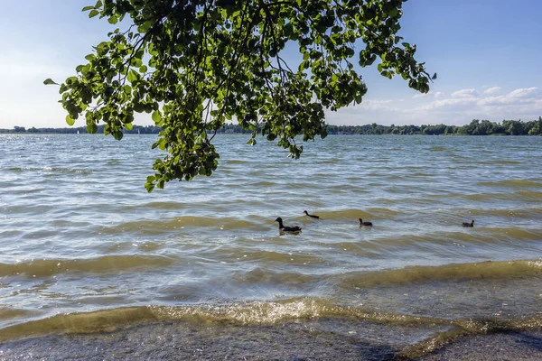 Jezioro Wielkiego Kierskiego Poznaniu — Zdjęcie stockowe