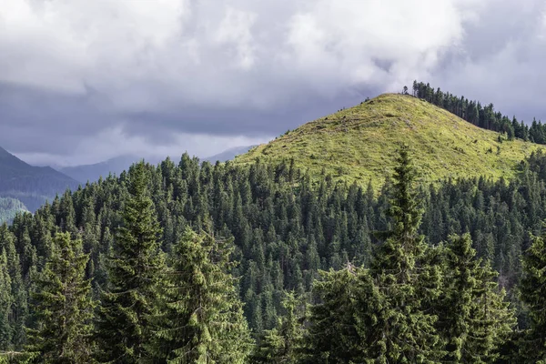 Vista Aérea Desde Carretera Sobre Paso Montaña Prislop Frontera Las —  Fotos de Stock