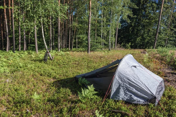 Wild camping in forest in Drawsko County located in West Pomerania region of Poland