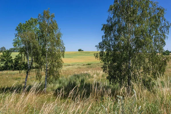 Paisaje Condado Drawsko Situado Región Pomerania Occidental Polonia — Foto de Stock