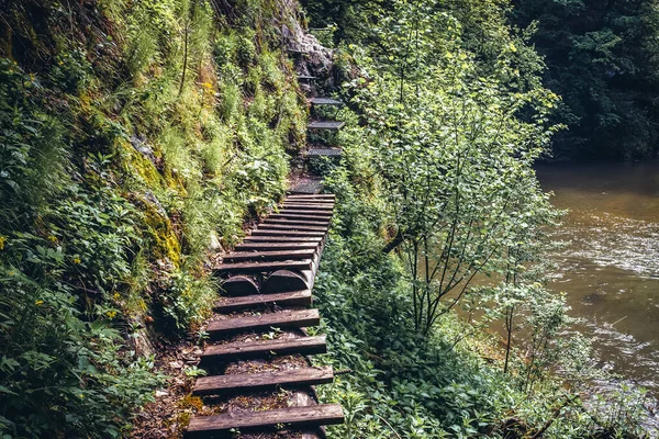 Tahta Merdivenler Slovakya Nın Ore Dağları Ndaki Slovak Cennet Parkı — Stok fotoğraf