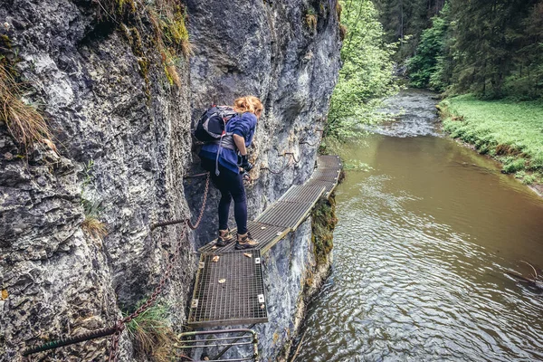 Szlovák Paradicsom Park Szlovákia 2018 Május Turista Hornad Szurdok Ösvényen — Stock Fotó