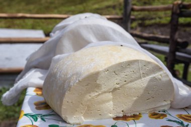 Romanian cheese made in traditional way in a Rodna mountains near Borsa town, Romania clipart