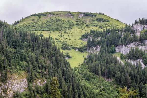 Vue Aérienne Sentier Vers Cascada Cailor Cascade Située Dans Parc — Photo