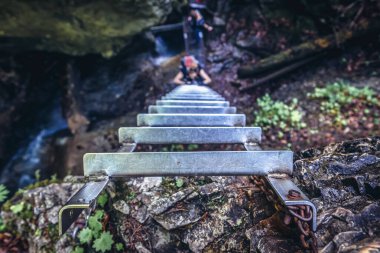 Slovak Paradise, Slovakia - May 10, 2018: Ladder on the Misove Waterfalls, part of Sucha Bela canyon trail in Slovak Paradise park clipart