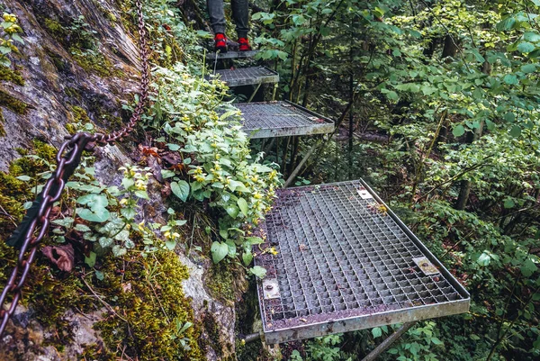 Sentier Touristique Hornad Gorge Dans Parc Slovaque Paradise Situé Dans — Photo