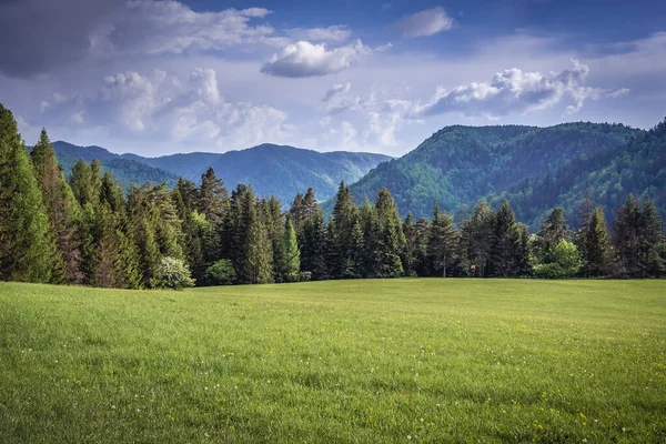 スロバキアのスロバキアパラダイス公園のKlastorisko地域の山の牧草地 — ストック写真