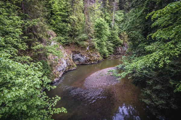 Der Fluss Hornad Vom Trai Park Slowakisches Paradies Erzgebirge Slowakei — Stockfoto