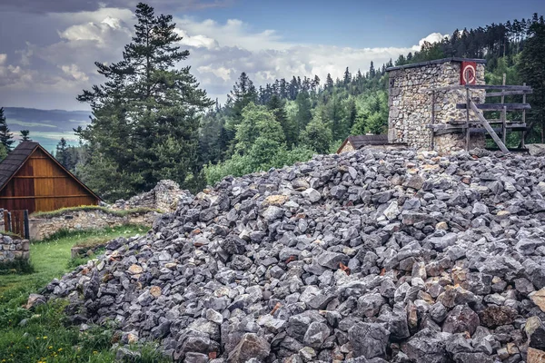 Restes Monastère Chartreux Dans Parc Paradis Slovaque Slovaquie — Photo