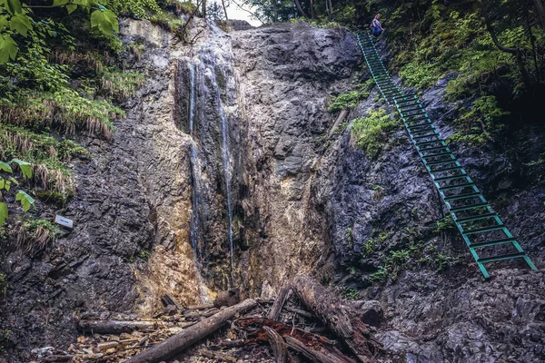 Slowakisches Paradies Slowakei Mai 2018 Leiter Auf Dem Genannten Regenbogen — Stockfoto