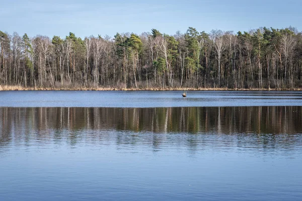 Widok Rezerwat Jeziora Torfy Położony Pobliżu Miasta Karczew Mazowieckim Parku — Zdjęcie stockowe