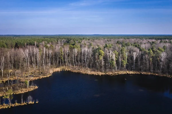 Vista Del Dron Área Protegida Del Lago Torfy Parque Del — Foto de Stock