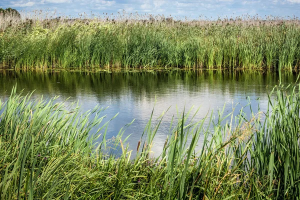 Uitzicht Vanaf Toeristische Houten Pad Een Rivier Narew Narew National — Stockfoto