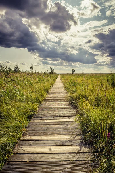 Passerelle Bois Appelée Dluga Luka Dans Parc National Biebrza Région — Photo