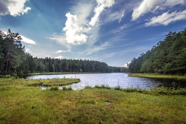 폴란드 지역에 공원에 호수의 — 스톡 사진