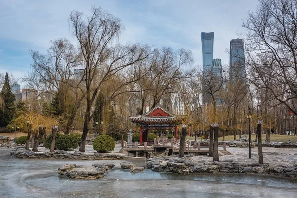 Peking Kína Február 2019 Lotus Lake Ritan Nyilvános Park Található — Stock Fotó