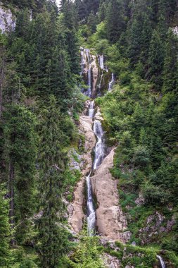 So called Horses Waterfall in Rodna nature reserve near Borsa town, Maramures region of Romania clipart