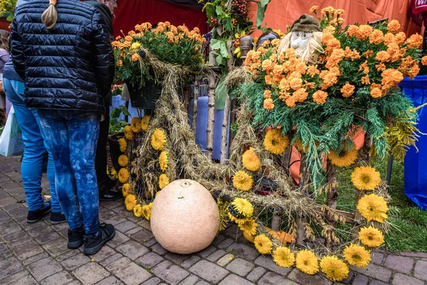 Rogow Polônia Agosto 2019 Decoração Durante Festival Anual Colheita Polonês — Fotografia de Stock