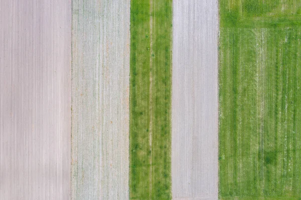 Droogte Seizoen Polen Drone Uitzicht Geploegde Won Velden Jaczew Klein — Stockfoto