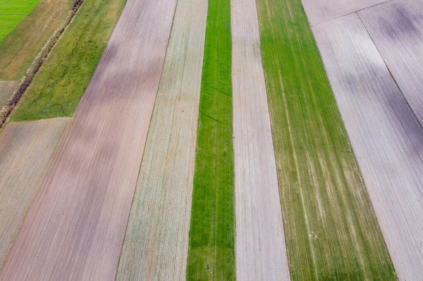 Temporada Seca Polônia Vista Drone Arado Ganhou Campos Jaczew Pequena — Fotografia de Stock