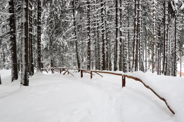 Landskap med vinterväg. — Stockfoto