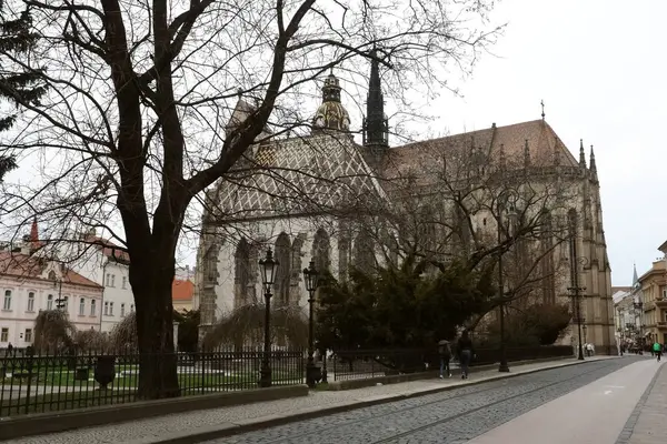 Kosice.tif Katedrali — Stok fotoğraf