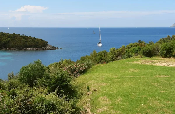 Groene kust en jachten. — Stockfoto