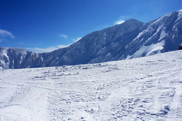 Düşük Tatras dağlarında kayak pisti. — Stok fotoğraf