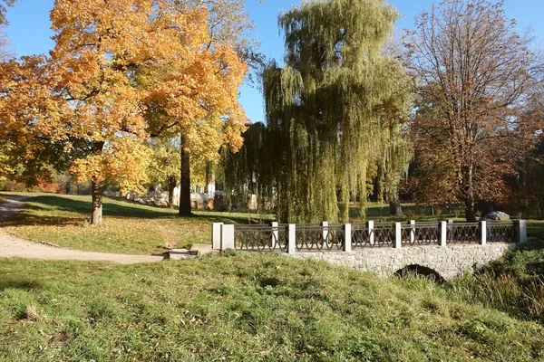 Paysage d'automne dans l'arboretum Alexandrie par une journée ensoleillée . — Photo