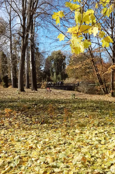 Journée ensoleillée d'automne dans le parc. — Photo